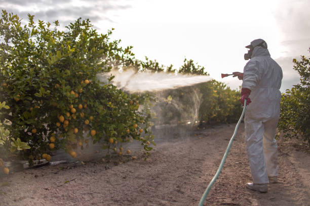 Best Wasp Removal Services  in Liberty, TX