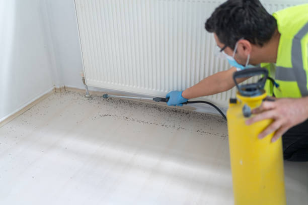 Best Pest Inspection Near Me  in Liberty, TX