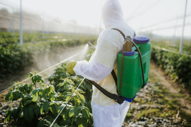 Best Termite Control Services  in Liberty, TX